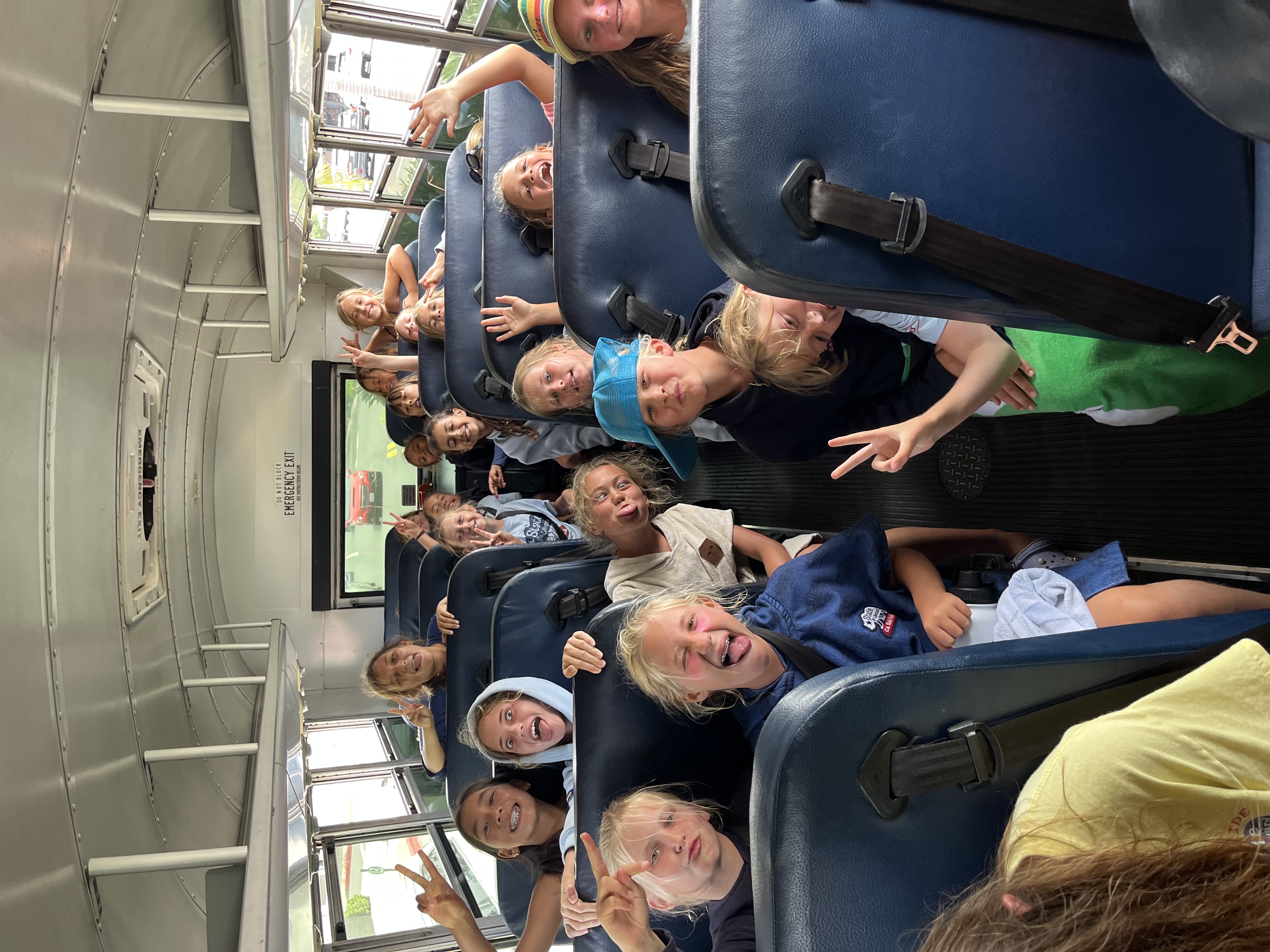 bus bus